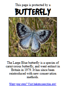 Butterfly quiz result